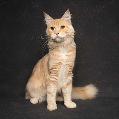 Oliver