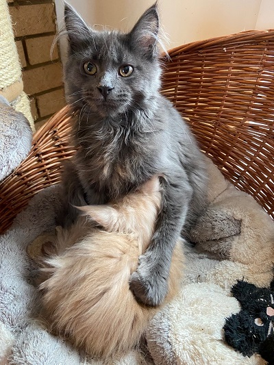 Fen and baby