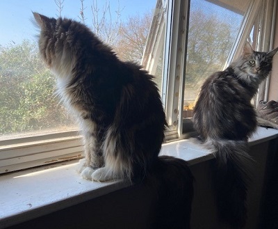 Sisters