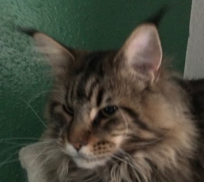 Walter