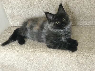 Baby river
