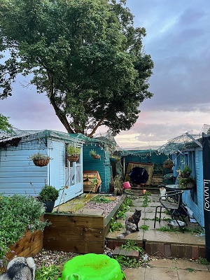 The garden