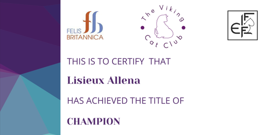 Cat champion certificate