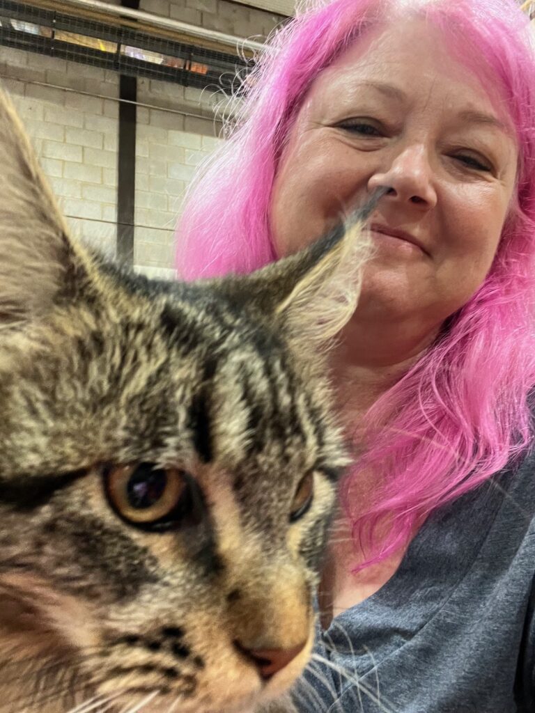 Maine coon with pink haired lady