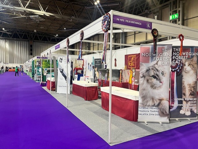 Felis Britannica stand at Cat Show Live 2025